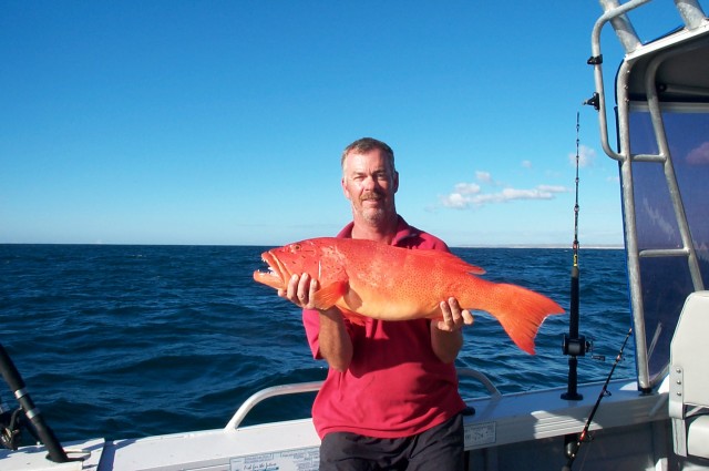 Nice Exmouth Trout